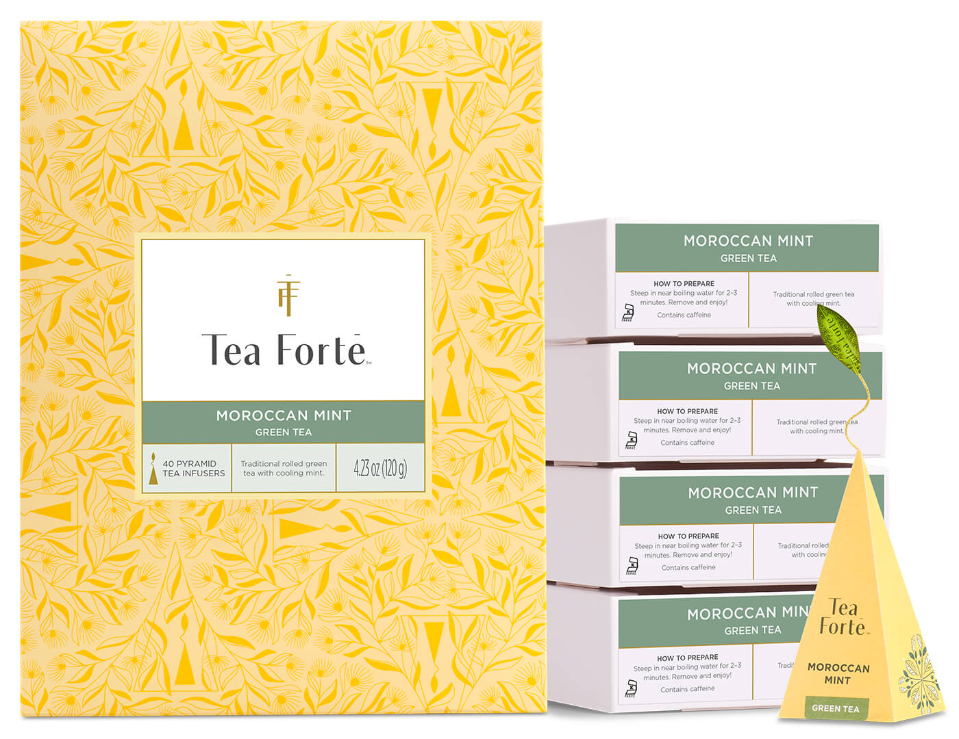 Moroccan Mint Event Box 40ct, open with infuser